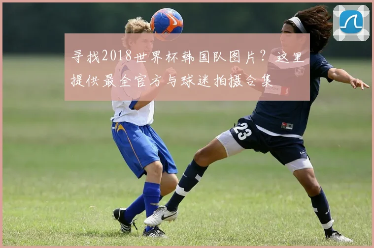 寻找2018世界杯韩国队图片?这里提供最全官方与球迷拍摄合集