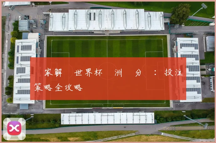 專家解讀世界杯亞洲讓分盤:投注策略全攻略