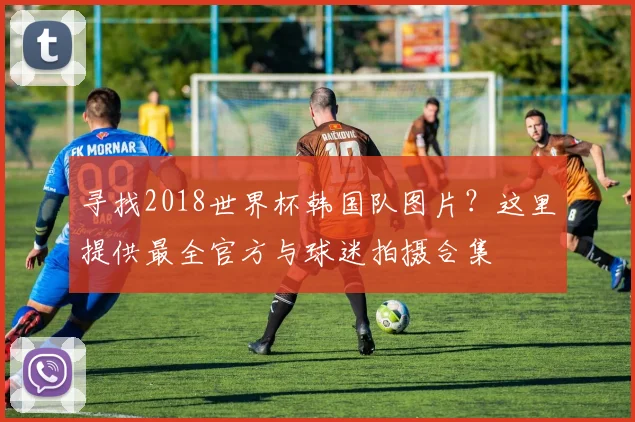 寻找2018世界杯韩国队图片?这里提供最全官方与球迷拍摄合集