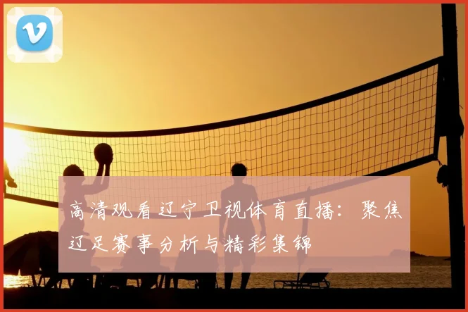 高清观看辽宁卫视体育直播：聚焦辽足赛事分析与精彩集锦