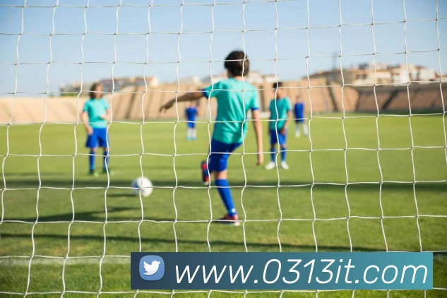mksports在线登录入口发展历程