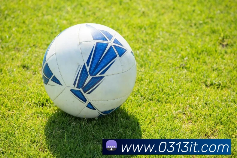 beat365在线唯一官网登录平台生态图